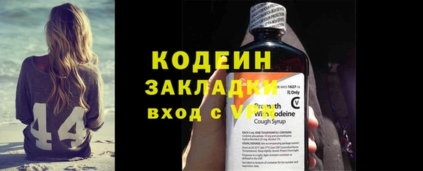 шишки Корсаков