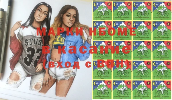 шишки Корсаков