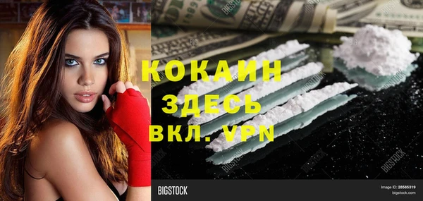 apvp Краснослободск