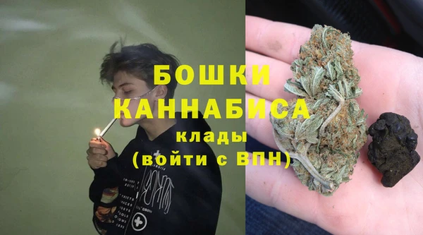 мдпв Кропоткин