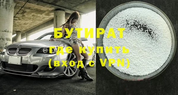 шишки Корсаков