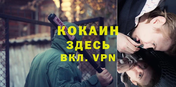 шишки Корсаков