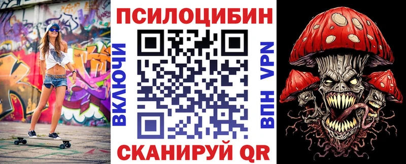 дарнет шоп  Михайловка  Псилоцибиновые грибы Psilocybine cubensis 