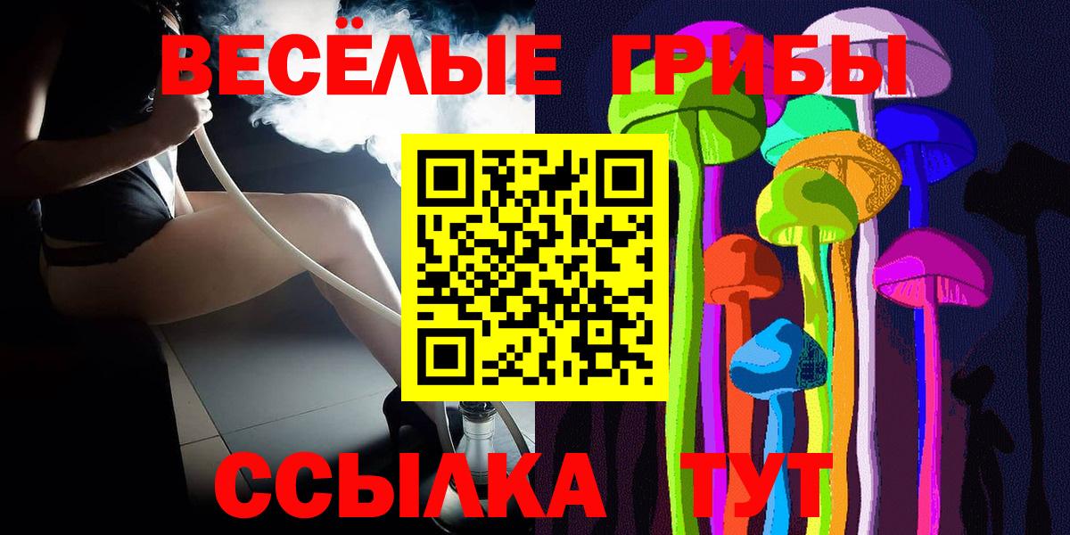 Галлюциногенные грибы мицелий  Вход с VPN  Михайловка 